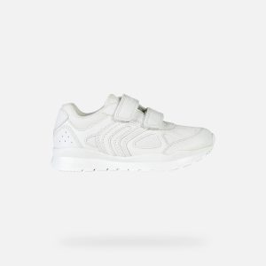 Geox Deportivo Blanco Estilo Colegial
