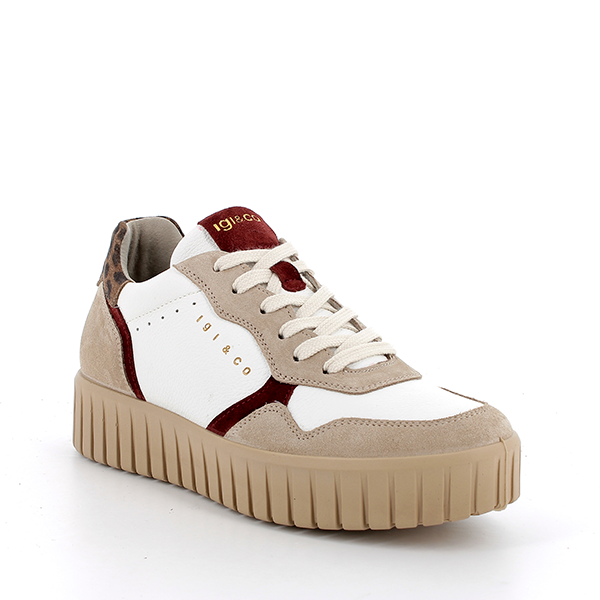 IGI&CO Zapato Deportivo Color Beig 8680044 - Imagen 4